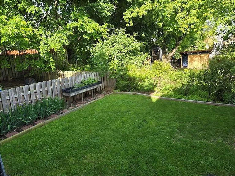 Green and lush backyard.