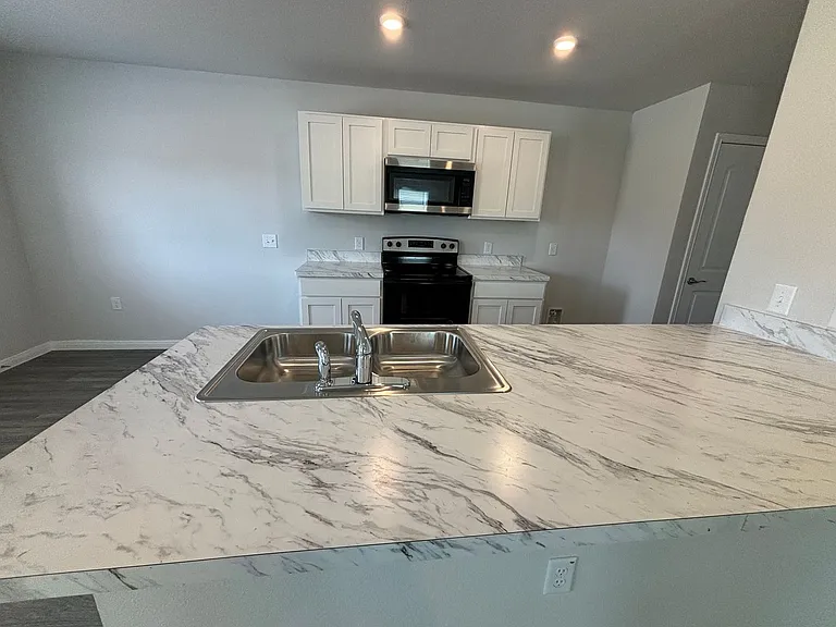 2242 Dry Moss Way — Photo 10
