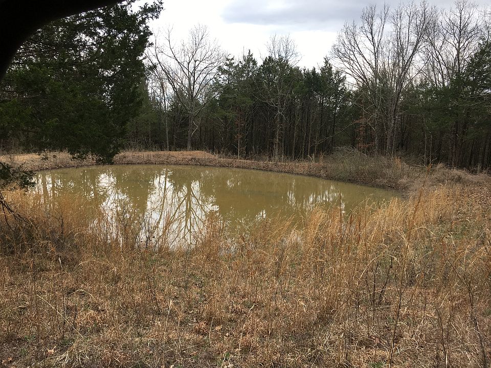 Pond 3
