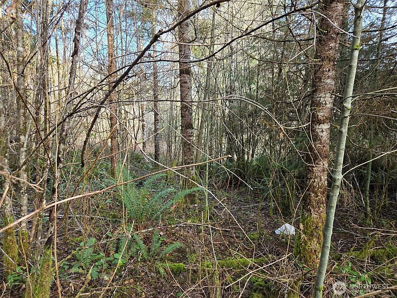 4th image of 0 End of Workman Creek Road