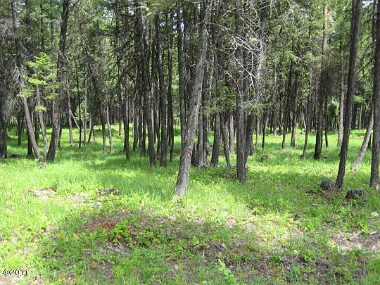 3rd image of LOT 2 Moonshine Mountain Trl