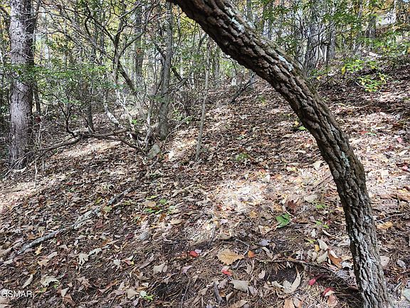 5th image of LOT 11 Bluff Mountain Rd #11
