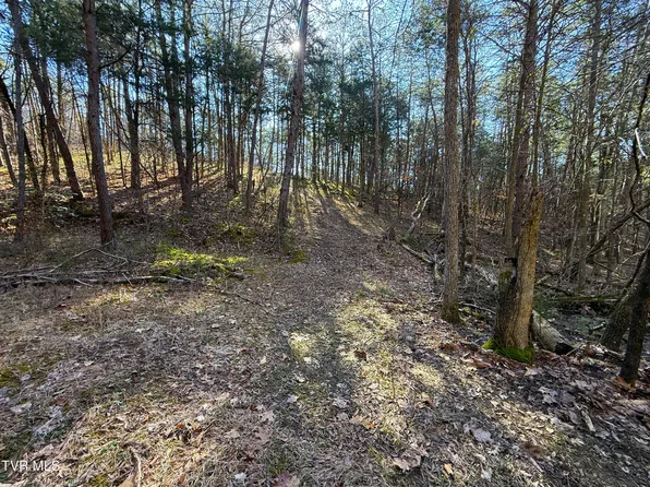 Buck Horn Rd, Dandridge, TN 37725