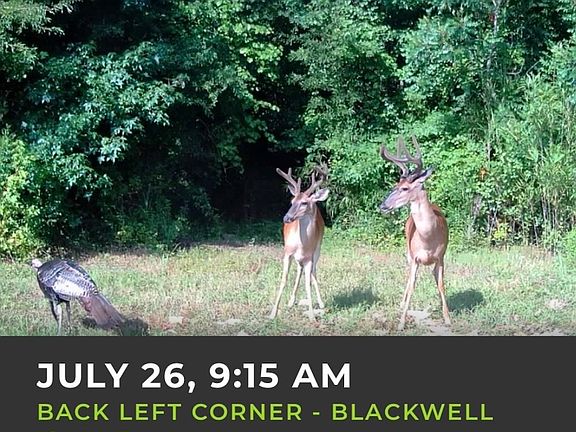 3rd image of Blackwell Island Rd Lot Wp001