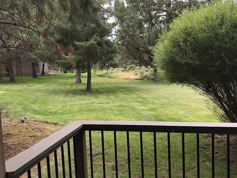 19717 Mount Bachelor Dr #141 — Photo 8