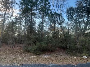 Locust Run, Ocklawaha, FL 32179