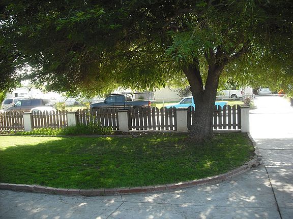 Front Yard and tree