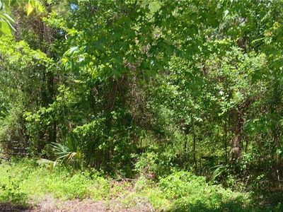 0 NW 82nd Ct LOT 15, Ocala, FL, 34482