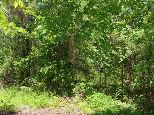0 NW 82nd Ct Lot 15, Ocala, FL 34482