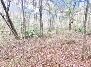 1232 NW Meridian Rd, Mayo, FL 32066