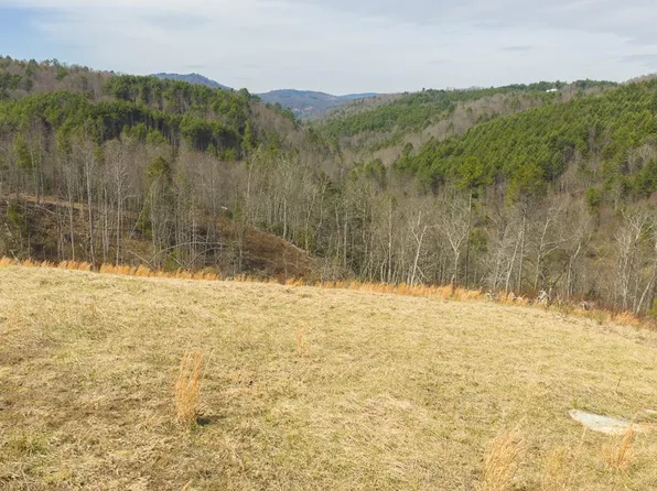 Tbd Carsonville Rd, Independence, VA 24348