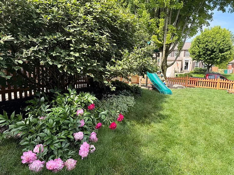 Mantell Ct — Photo 5