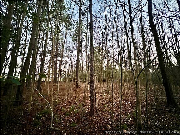 2nd image of 1871 River Rd