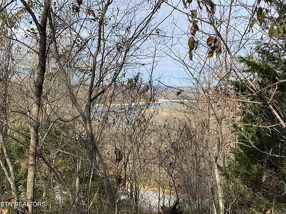 5th image of 0 Russell Brothers Rd Lot 732