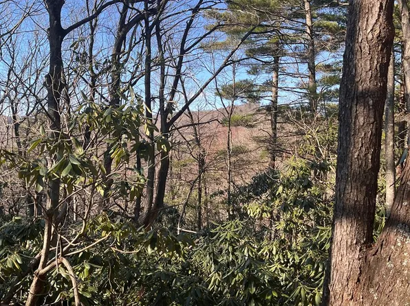 Rock Ledge Trl, Fancy Gap, VA 24328