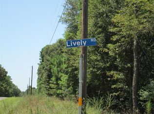 17352 Lively Rd, Waller, TX 77484