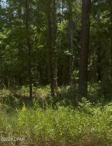 Ben Rd #32428, Chipley, FL, 32428