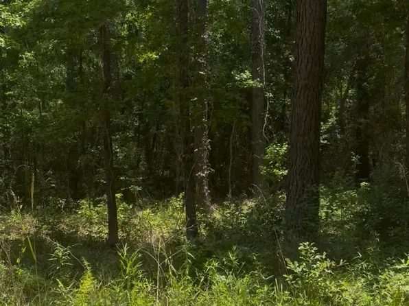 Ben Rd #32428, Chipley, FL 32428