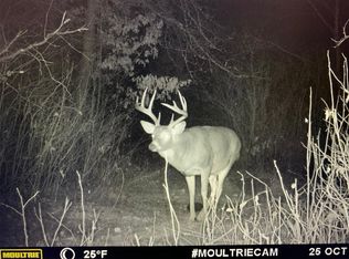 Tbd Highway 227, Sebeka, MN 56477