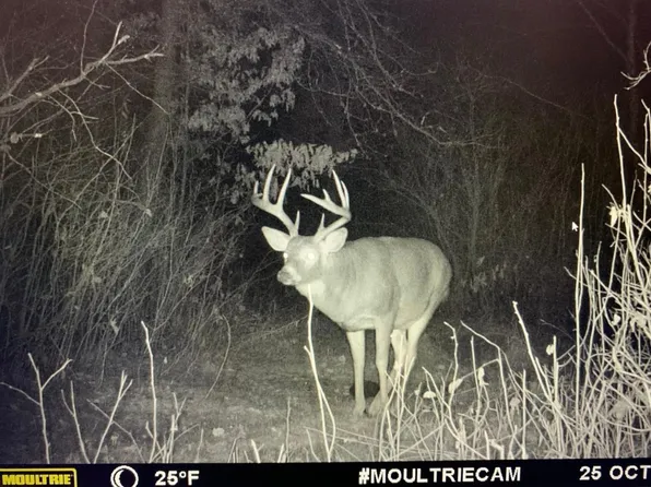 Tbd Highway 227, Sebeka, MN 56477