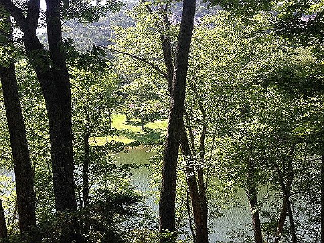 2nd image of 392 Big Rock Lake Rd