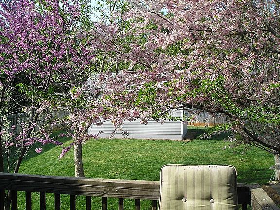 View of shed from back deck
