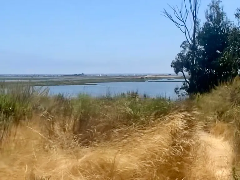 Ponds, canal, bird watching in the wetlands