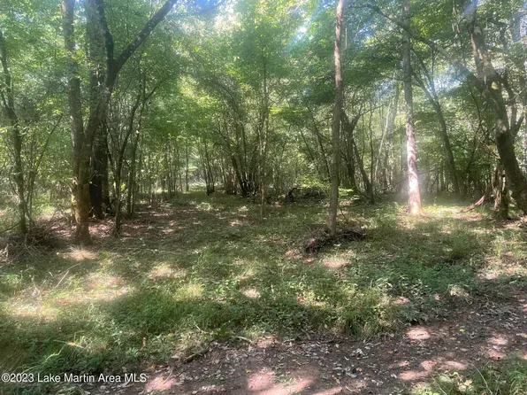 Buttston Rd, Dadeville, AL 36853
