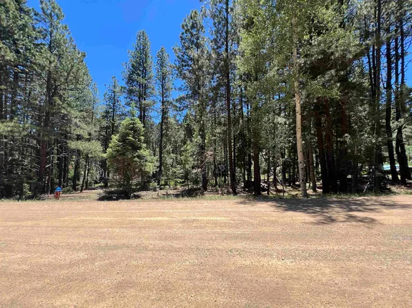 TBD Alpine Lake Way Lot 3 Blk E, Angel Fire, NM 87710-0000