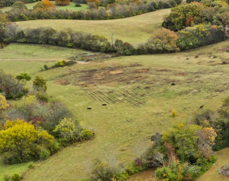 Wildwood Apartment Homes are surrounded by beautiful, rolling hills and the Great Smoky Mountains.