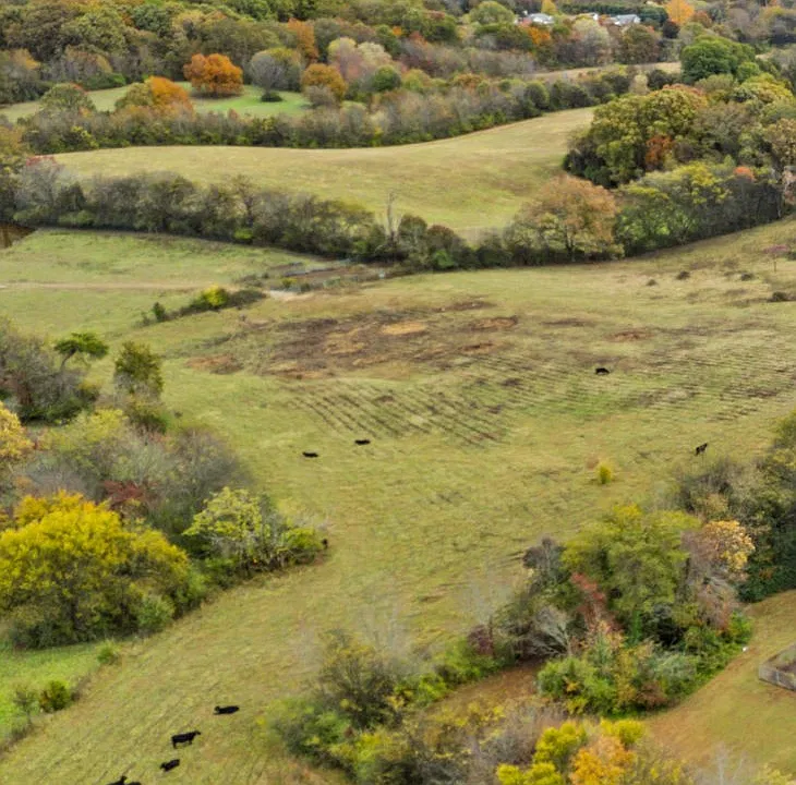 Wildwood Apartment Homes are surrounded by beautiful, rolling hills and the Great Smoky Mountains.