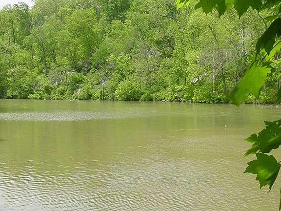 Waterfront; View from backyard