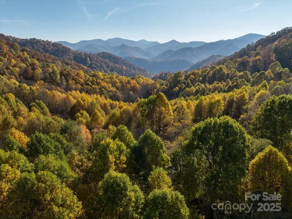 1397 Bee Br, Hot Springs, NC 28743