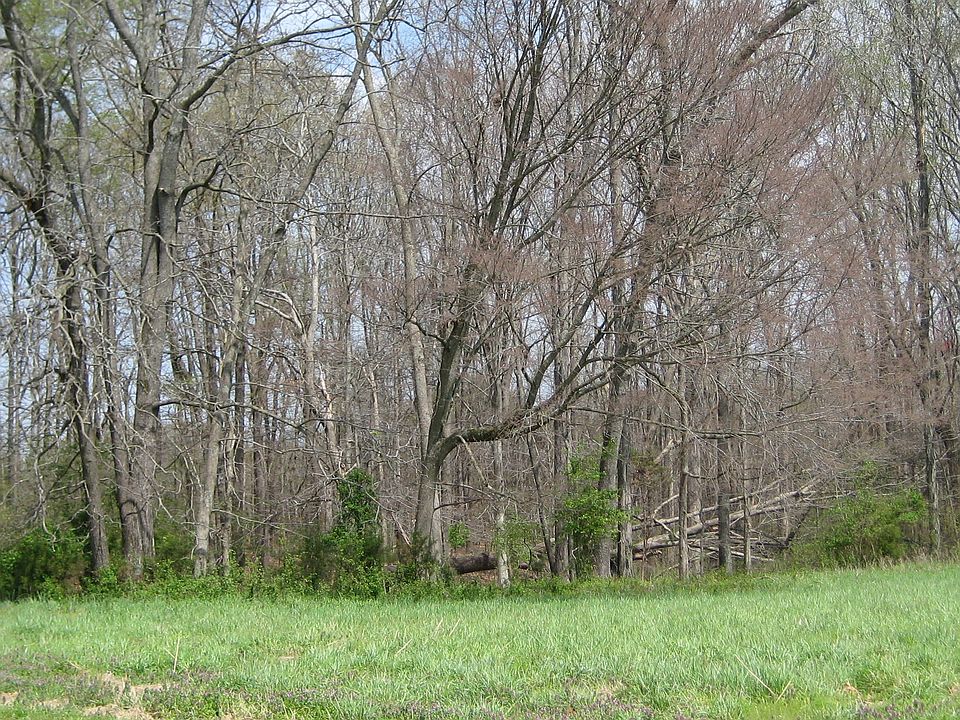 1st image of 24LT Rebecca Ln