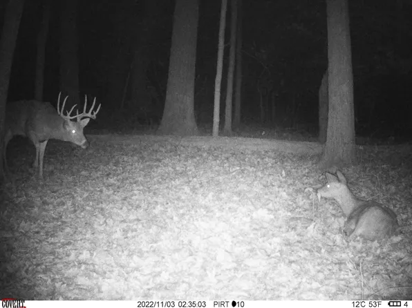 12701 E 830th Rd, Martinsville, IL 62442