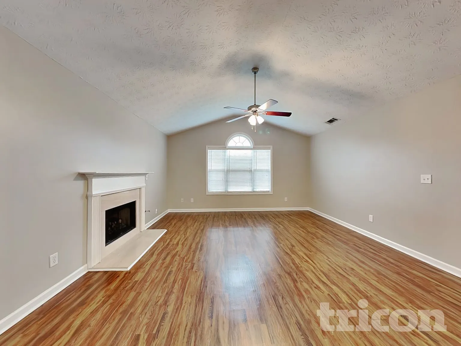 254 Summit View Drive McDonough GA — Photo 3