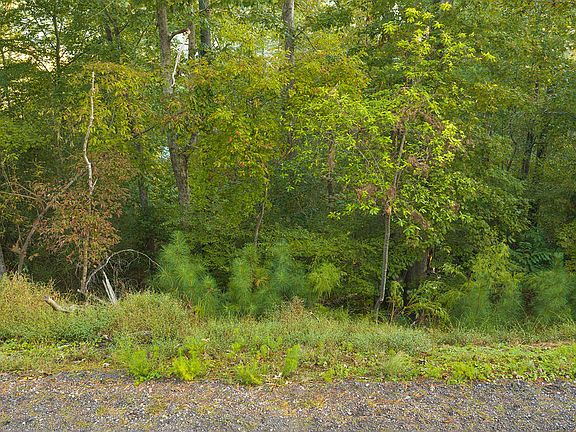 3rd image of LOT-783R Matrix Cir