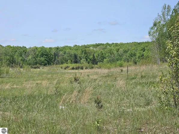 0 W Moorestown Rd, Lake City, MI 49651