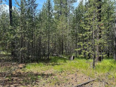 3792 E Jump Off Joe Rd #M, Valley, WA, 99181