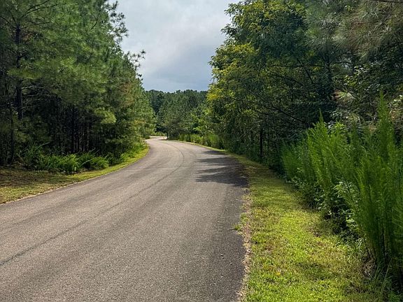 5th image of Lts 43 & 44 Reece Mountain Rd