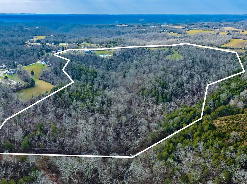 10th image of this home