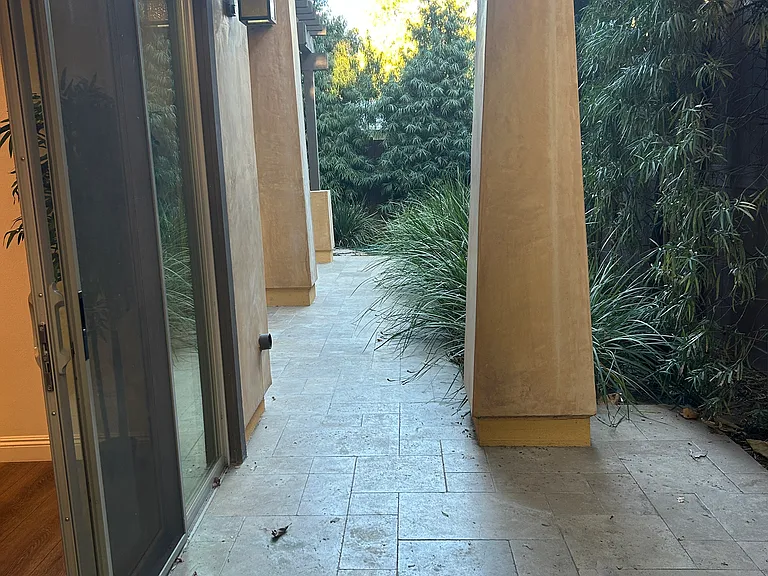 Backyard 3