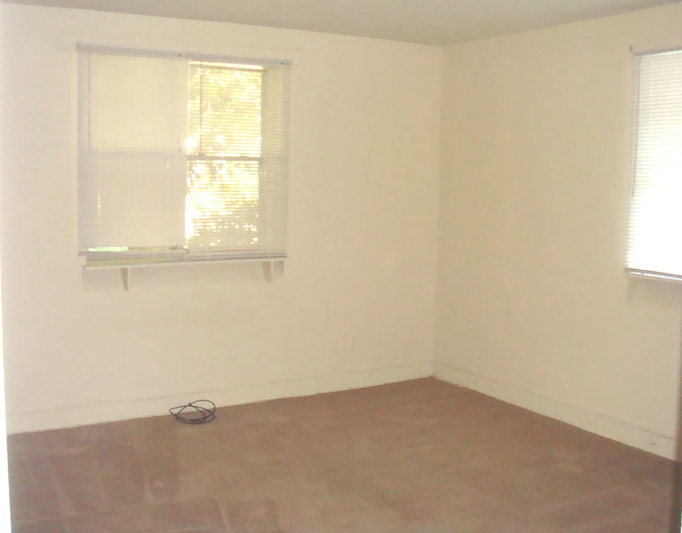 1807 Slater Street — Photo 4
