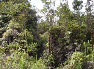 LOT 45th, Mountain View, HI 96771