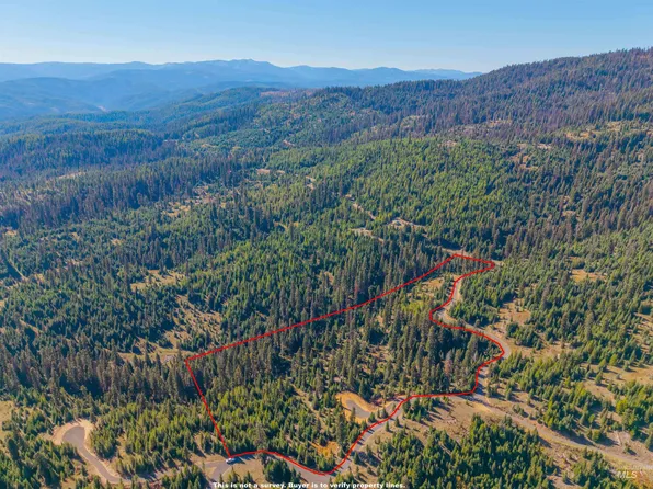 2 Tree Farm, Elk City, ID 83525