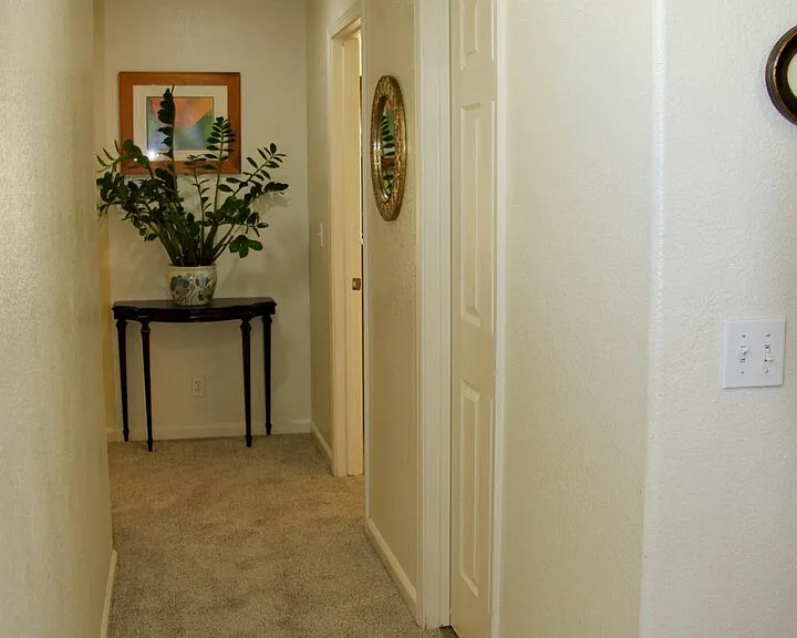 Cactus Ct — Photo 16