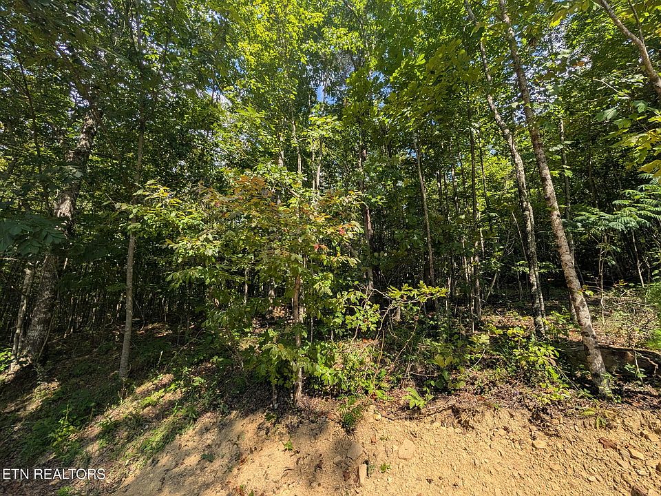 1st image of Lookout Dr Lot 63