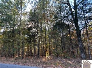 0 Paddle Ln, New Concord, KY 42076