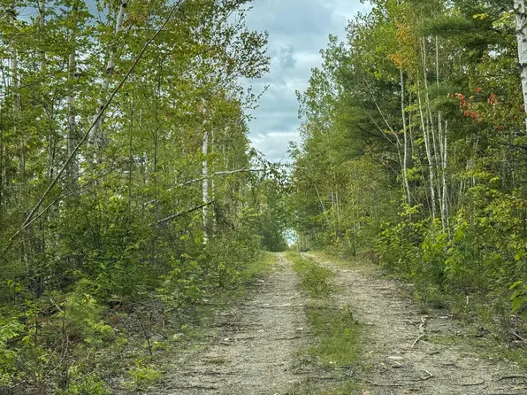Lots 17+18 Junior Williams Road, Wesley, ME 04686