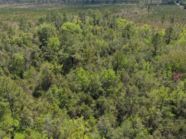 0 SW K29 Rd, Lee, FL 32059